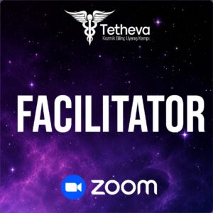 Alternative view of TETHEVA FACILITATOR TRAINING PROGRAMME